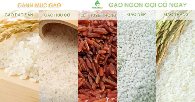 Thiên Long Rice - Gạo Ngon Sài Gòn