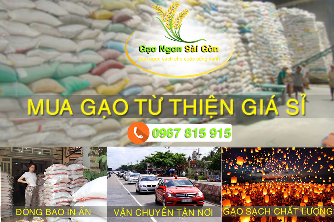 Mua gạo từ thiện giá sỉ tại Gạo Ngon Sài Gòn