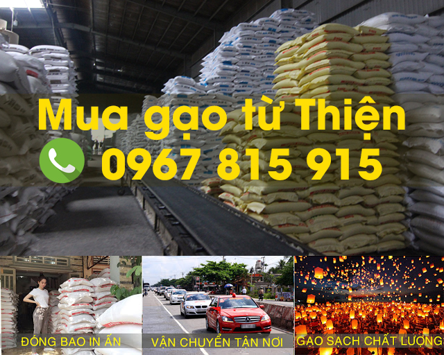 Địa chỉ bán gạo từ thiện uy tín với giá sỉ giao đại lý tại TPHCM