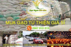 Mua gạo từ thiện giá sỉ tại Gạo Ngon Sài Gòn